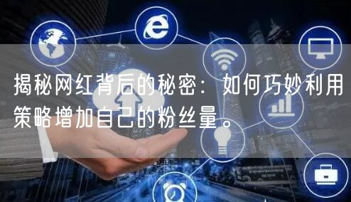 揭秘网红背后的秘密：如何巧妙利用策略增加自己的粉丝量。