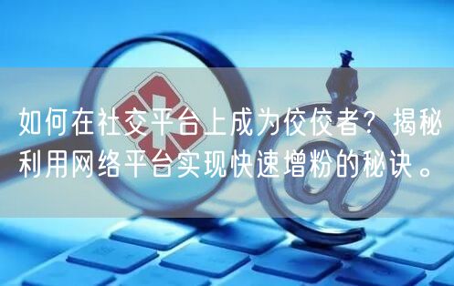 如何在社交平台上成为佼佼者？揭秘利用网络平台实现快速增粉的秘诀。