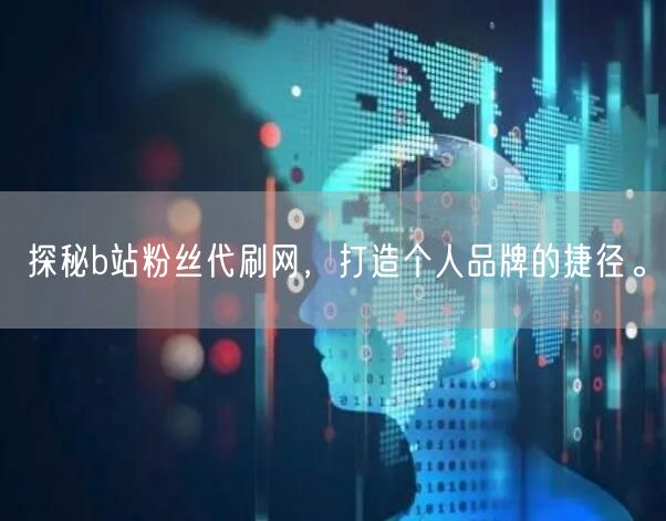 探秘b站粉丝代刷网，打造个人品牌的捷径。