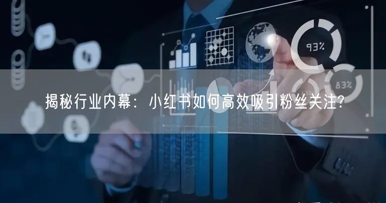 揭秘行业内幕：小红书如何高效吸引粉丝关注?