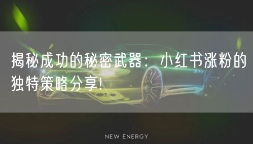 揭秘成功的秘密武器：小红书涨粉的独特策略分享!