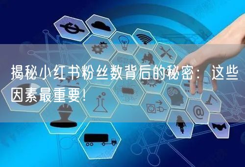 揭秘小红书粉丝数背后的秘密：这些因素最重要！