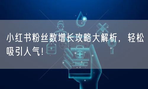 小红书粉丝数增长攻略大解析，轻松吸引人气！