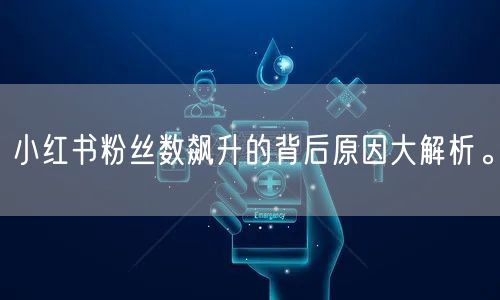 小红书粉丝数飙升的背后原因大解析。