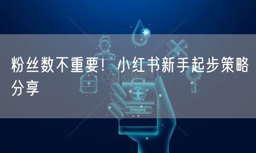 粉丝数不重要！小红书新手起步策略分享