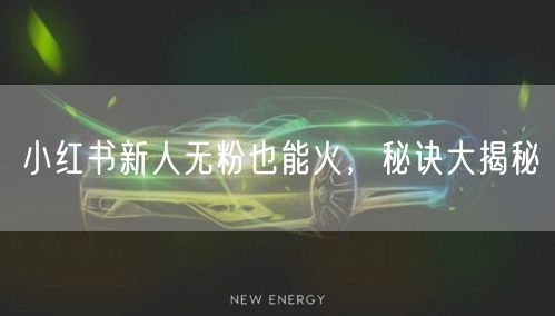 小红书新人无粉也能火，秘诀大揭秘