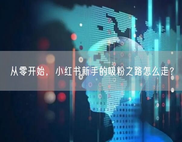 从零开始，小红书新手的吸粉之路怎么走？