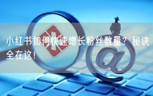小红书如何快速增长粉丝数量？秘诀全在这！