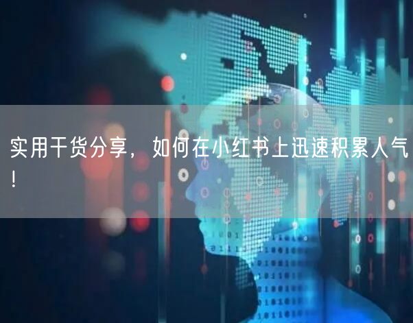 实用干货分享，如何在小红书上迅速积累人气！