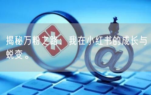 揭秘万粉之路：我在小红书的成长与蜕变。