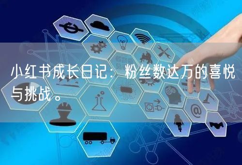 小红书成长日记：粉丝数达万的喜悦与挑战。