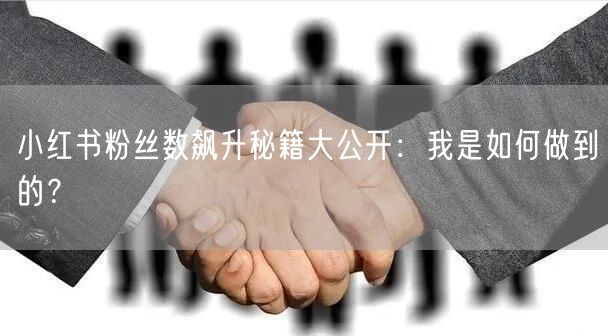 小红书粉丝数飙升秘籍大公开：我是如何做到的？