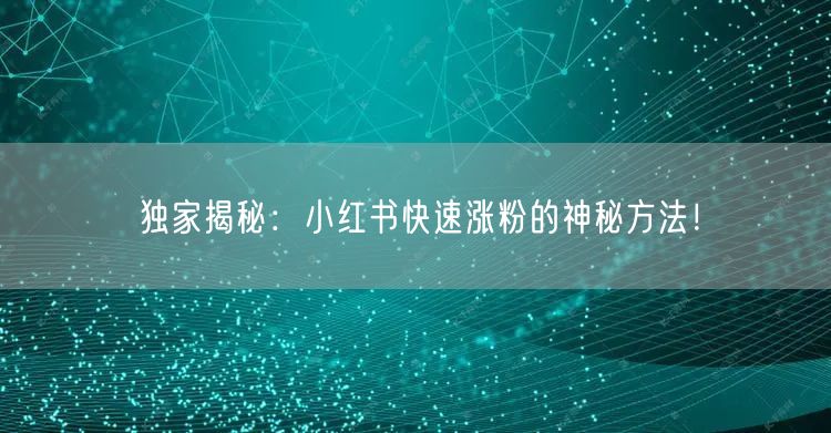 独家揭秘：小红书快速涨粉的神秘方法！