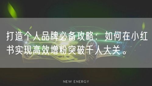 打造个人品牌必备攻略：如何在小红书实现高效增粉突破千人大关。