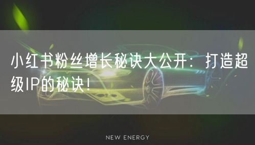 小红书粉丝增长秘诀大公开：打造超级IP的秘诀！