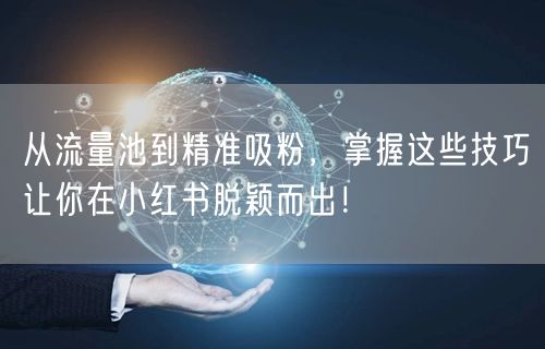 从流量池到精准吸粉，掌握这些技巧让你在小红书脱颖而出！
