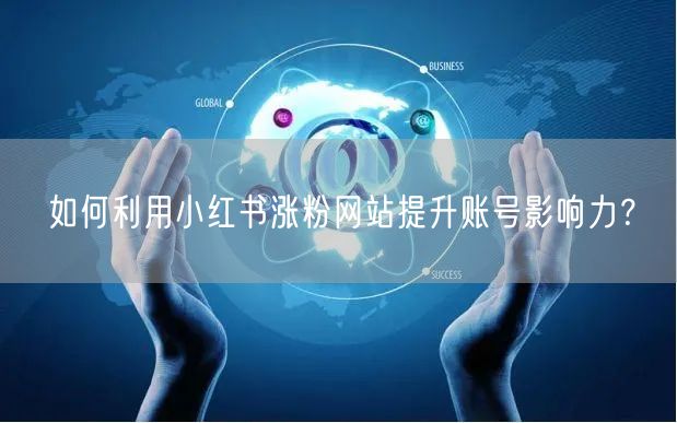 如何利用小红书涨粉网站提升账号影响力？