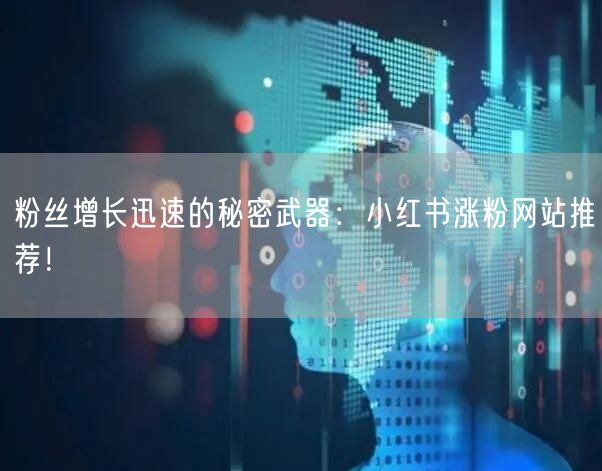 粉丝增长迅速的秘密武器：小红书涨粉网站推荐！