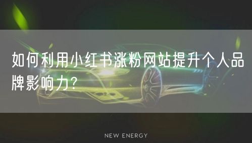 如何利用小红书涨粉网站提升个人品牌影响力？