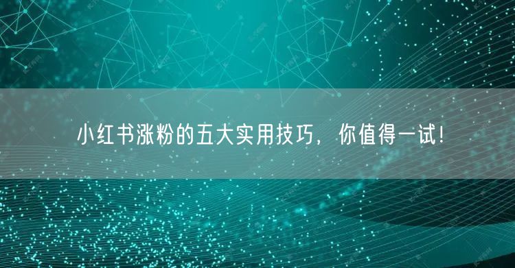 小红书涨粉的五大实用技巧，你值得一试！