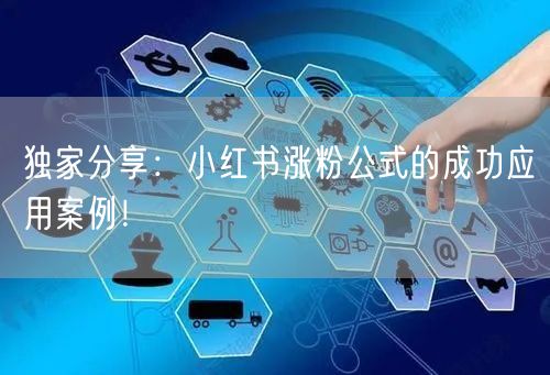 独家分享：小红书涨粉公式的成功应用案例！