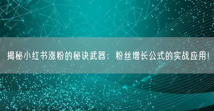 揭秘小红书涨粉的秘诀武器：粉丝增长公式的实战应用！