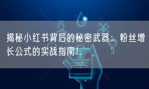 揭秘小红书背后的秘密武器：粉丝增长公式的实战指南！