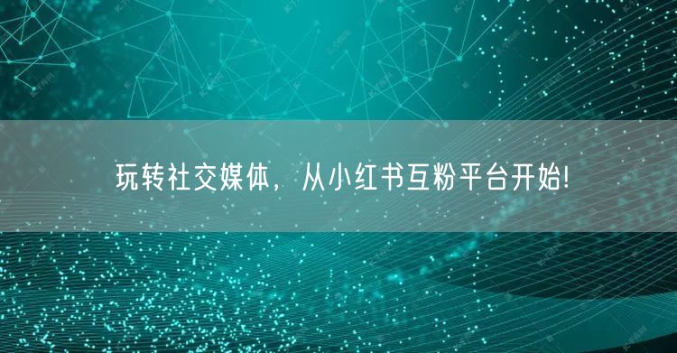 玩转社交媒体，从小红书互粉平台开始!