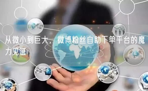 从微小到巨大，微博粉丝自助下单平台的魔力见证