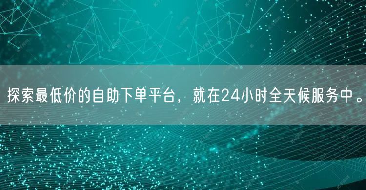 探索最低价的自助下单平台，就在24小时全天候服务中。