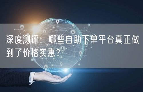 深度测评：哪些自助下单平台真正做到了价格实惠？