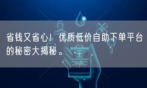 省钱又省心！优质低价自助下单平台的秘密大揭秘。
