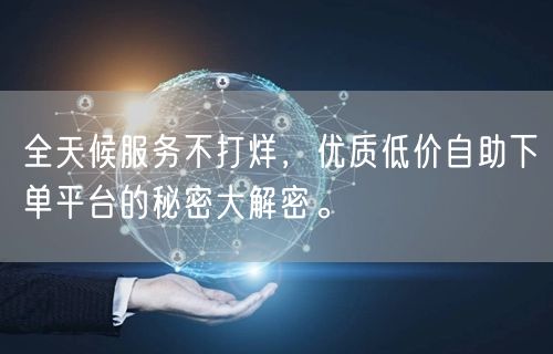 全天候服务不打烊，优质低价自助下单平台的秘密大解密。