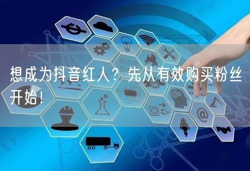 想成为抖音红人？先从有效购买粉丝开始！