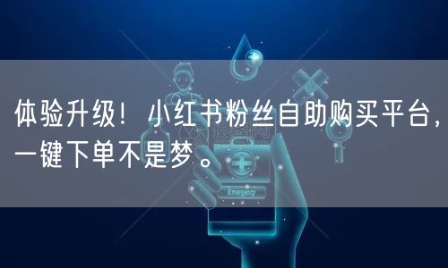 体验升级!小红书粉丝自助购买平台,一键下单不是梦。