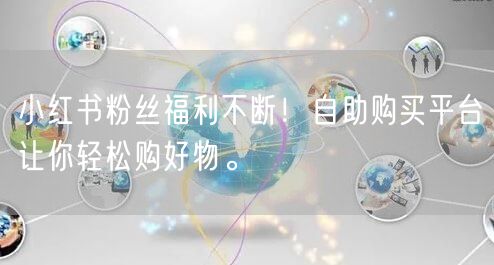 小红书粉丝福利不断!自助购买平台让你轻松购好物。